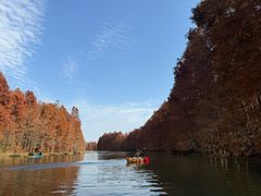 -上海海湾国家森林公园