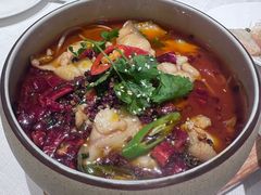 -醉辉皇上海之巅(上海中心大厦店)