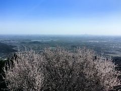 -香山公园