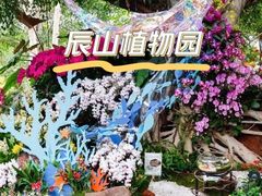 -上海辰山植物园