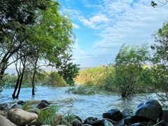 -上海吴淞炮台湾国家湿地公园