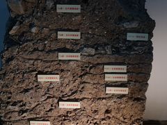 -南越王博物院(王宫展区)