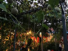 -姥家大锅台水库渔家