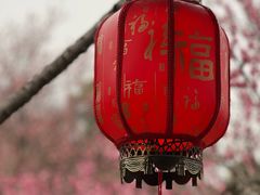 -无锡梅园公园