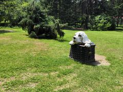 -黑龙江省森林植物园