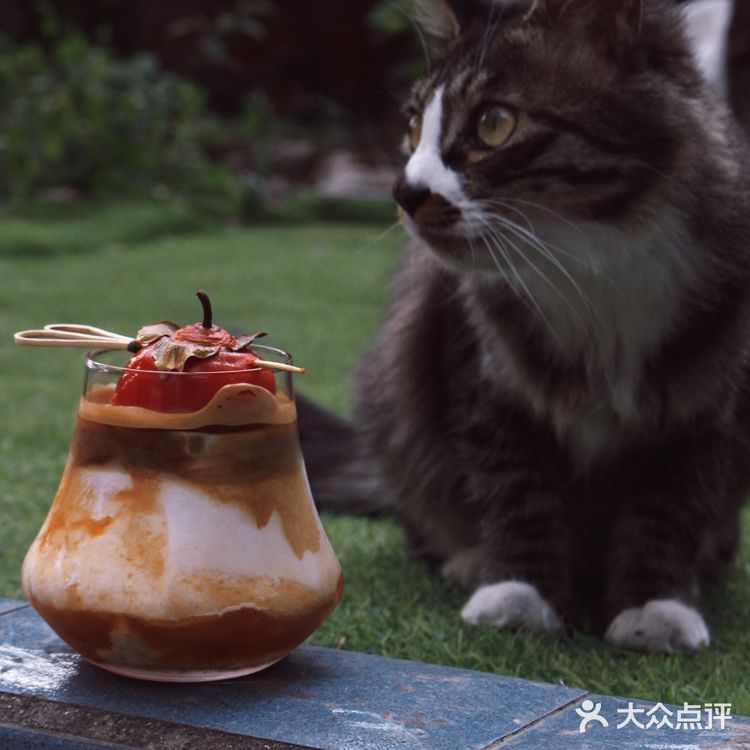 走成华大道，去喝一杯好喝又便宜的社区咖啡
