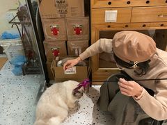 -滚猫咖啡·猫咖·猫友好撸猫(未来城店)