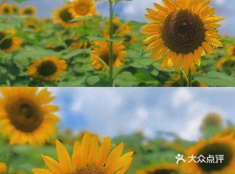 湖边还有小孩滑梯等娱乐设施