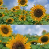 湖边还有小孩滑梯等娱乐设施