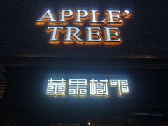 -苹果树下艺术餐厅(宋庄店)