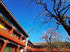 -北京石刻艺术博物馆(五塔寺)