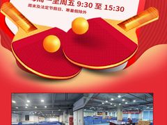 -点彩乒乓球俱乐部