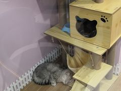 -联合动物医院(光谷诊疗中心)