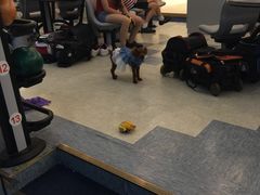 -广州保龄球馆(广州天河体育中心店)