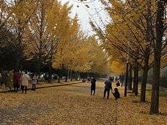 -西北农林科技大学(北校区)
