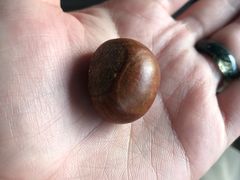 糖炒栗子-秋栗香(地安门店)