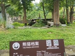 -都江堰中华大熊猫苑