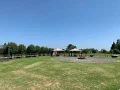 -金谷域澳洲庄园