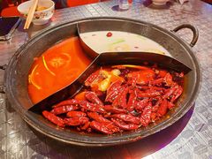 -朱光玉火锅馆(龙阳广场店)