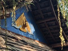 -西双版纳傣族园