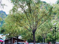 -十渡东湖港风景区