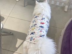 -怪兽屋·羊驼·猫咖·狗咖(俊华广场店)