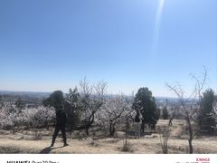 -白水寺森林公园