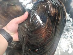 -八仔大富楼·河鲜(西江店)