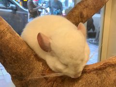 -龙猫仔乐园(惠福东路店)