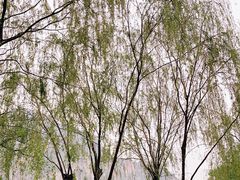 -碓臼峪自然风景区