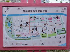 -高东镇樱花园