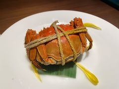 -觀芷隐轩