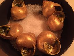 -金蜗牛