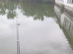 -莲湖山庄