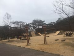 -神户市立六甲山牧场