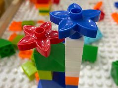 -邵汇大虾(会展店)