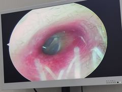 -溥耳·可视采耳·头疗·沐眼