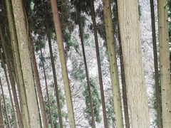 -九峰山