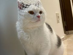 -哆趣宠物医院·眼科·内镜·急重症转诊中心(上海店)