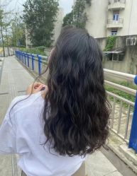 -YESIDO椰岛造型