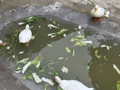 -保定市动物园