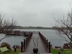 -上海海湾国家森林公园