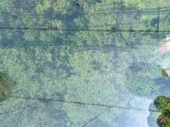 -盈香心动乐园