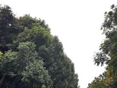 -无锡动物园·太湖欢乐园