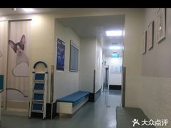 -美联众合爱康动物医院•复杂内科•肿瘤科•牙科•腔镜诊疗中心