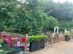 -广州白江湖森林公园