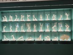 -上海体育博物馆