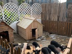 -HERRE·FARM 赫尔露营农场·团建聚会包场