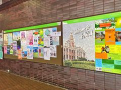 -香港大学