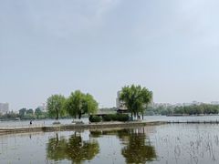 -济南大明湖景区